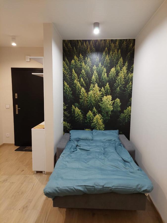 Apartament Pod Gora Szyndzielnia , Debowiec Bielsko-Biala Luaran gambar
