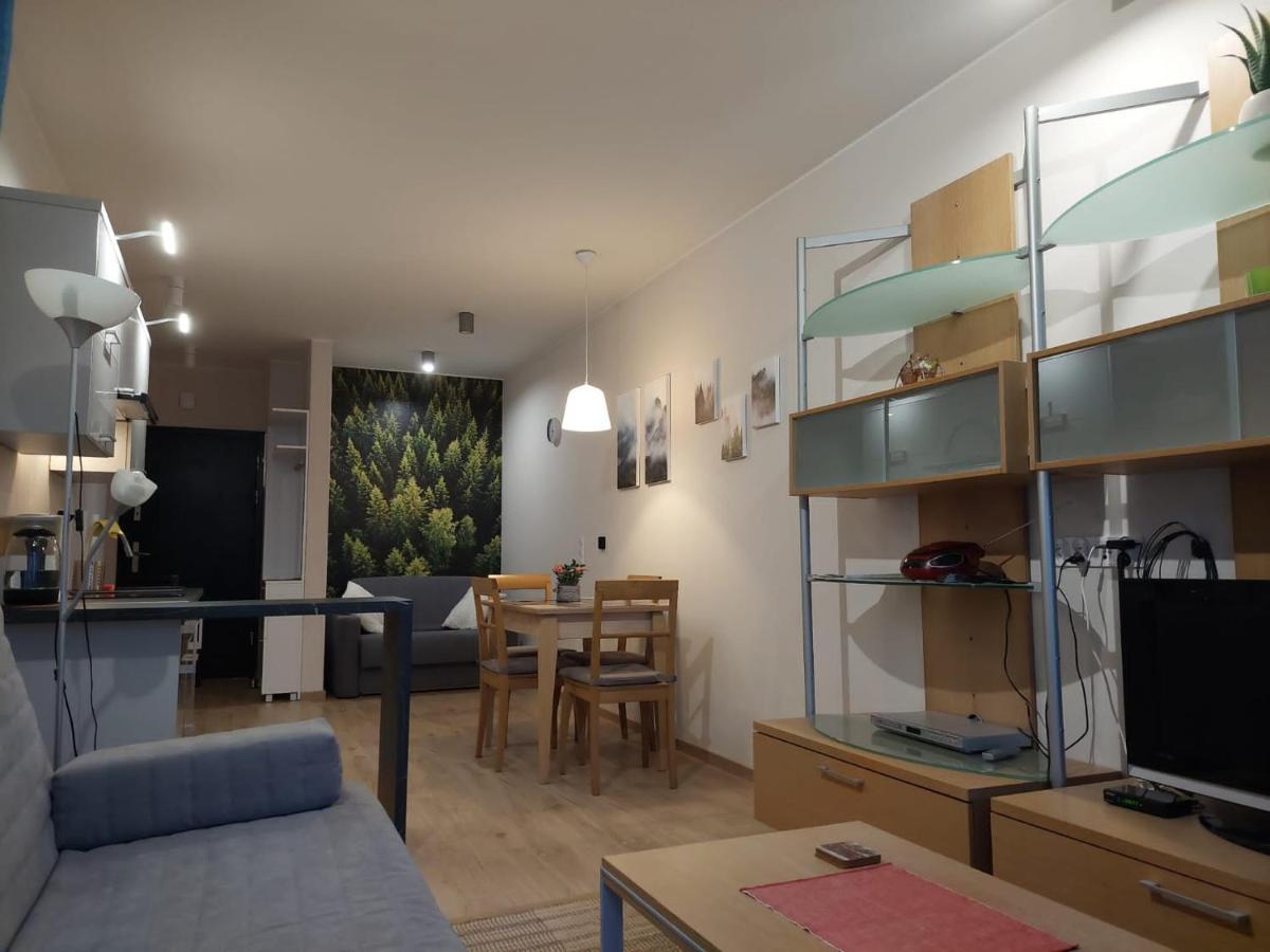 Apartament Pod Gora Szyndzielnia , Debowiec Bielsko-Biala Luaran gambar